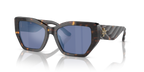 Brown Tortoise