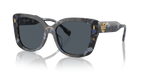 Blue Tortoise