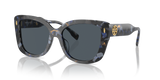 Blue Tortoise  - Dark Grey
