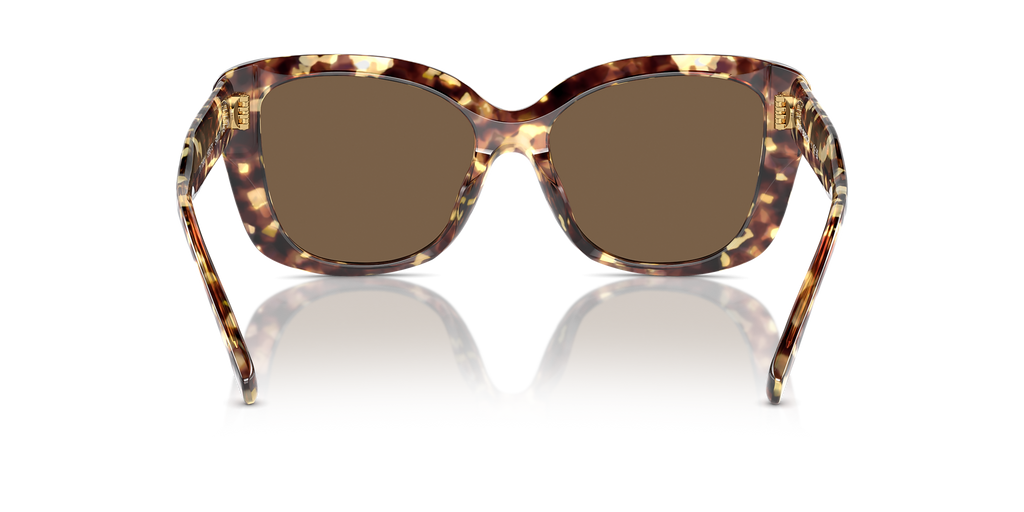 Vintage Tortoise
