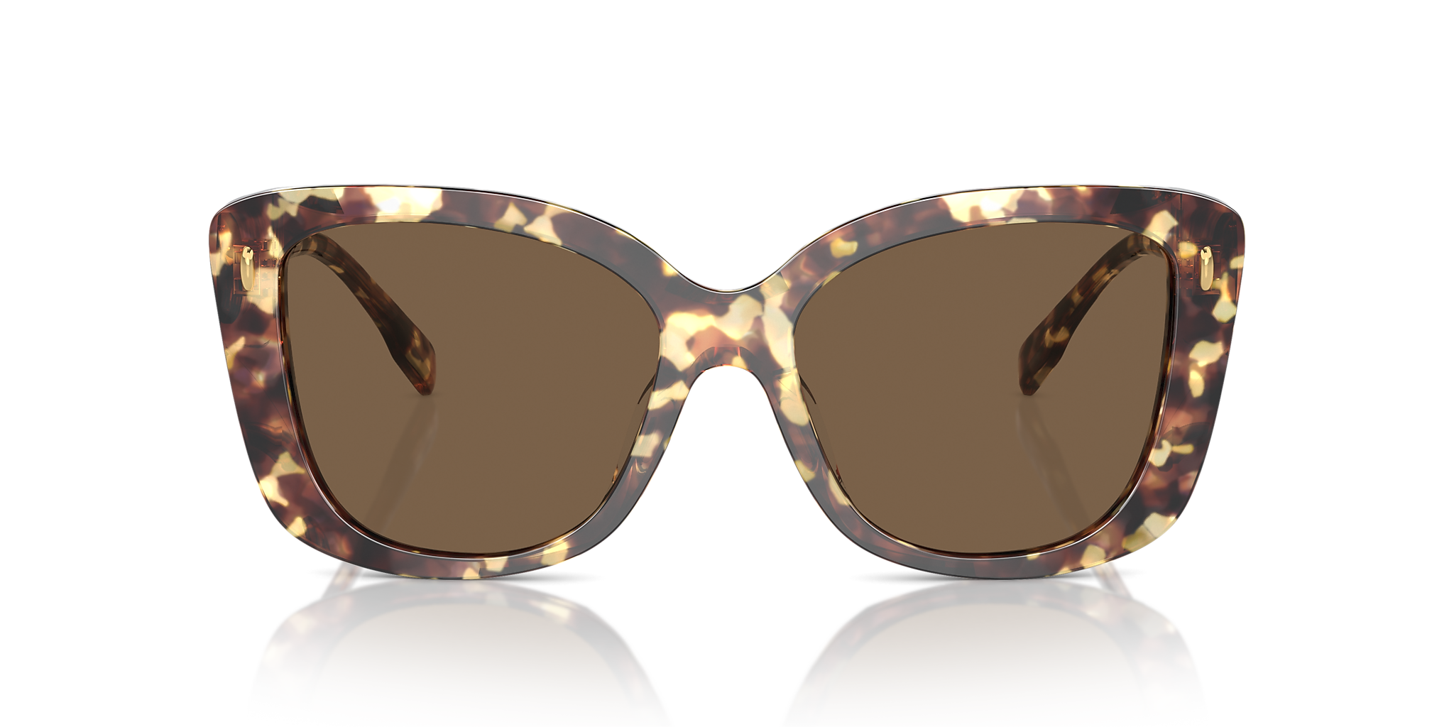 Vintage Tortoise