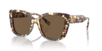 Vintage Tortoise