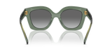 Transparent Sage