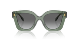Transparent Sage