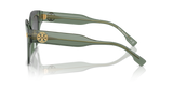 Transparent Sage