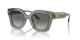 Transparent Sage