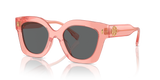 Transparent Orange  - Dark Grey