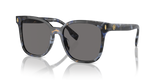Blue Tortoise