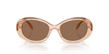 Transparent Light Brown