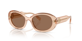Transparent Light Brown