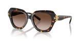Brown Tortoise  - Brown Gradient