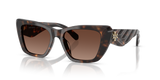 Dark Tortoise  - Brown Polar