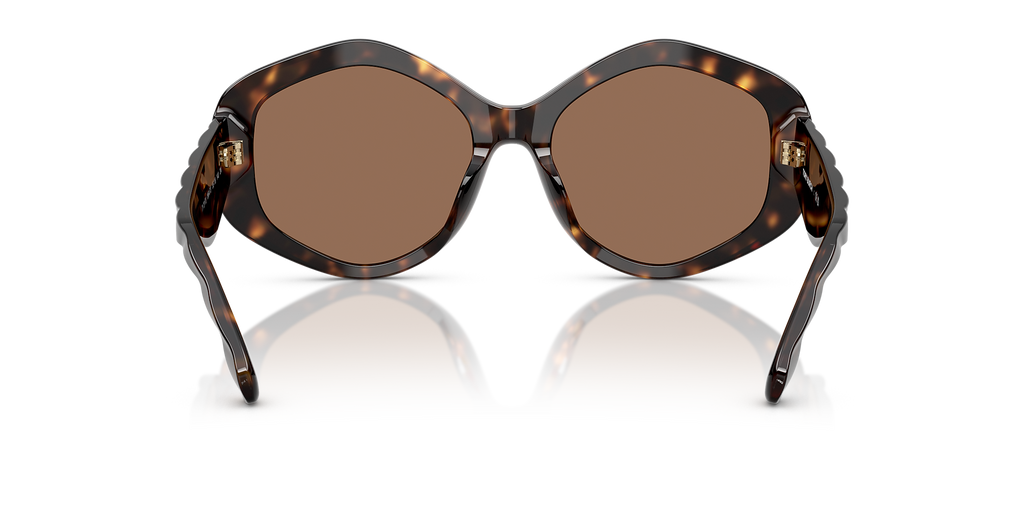 Dark Tortoise