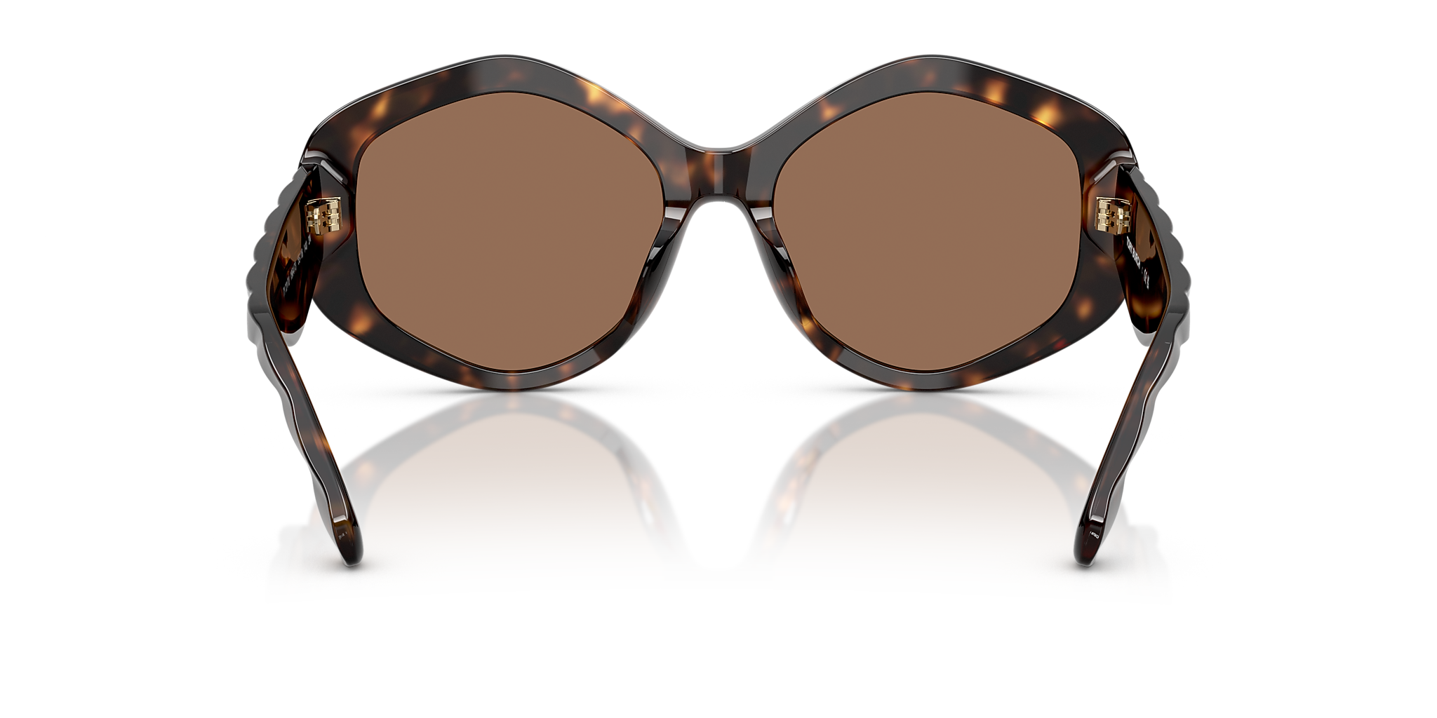 Dark Tortoise