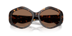 Dark Tortoise