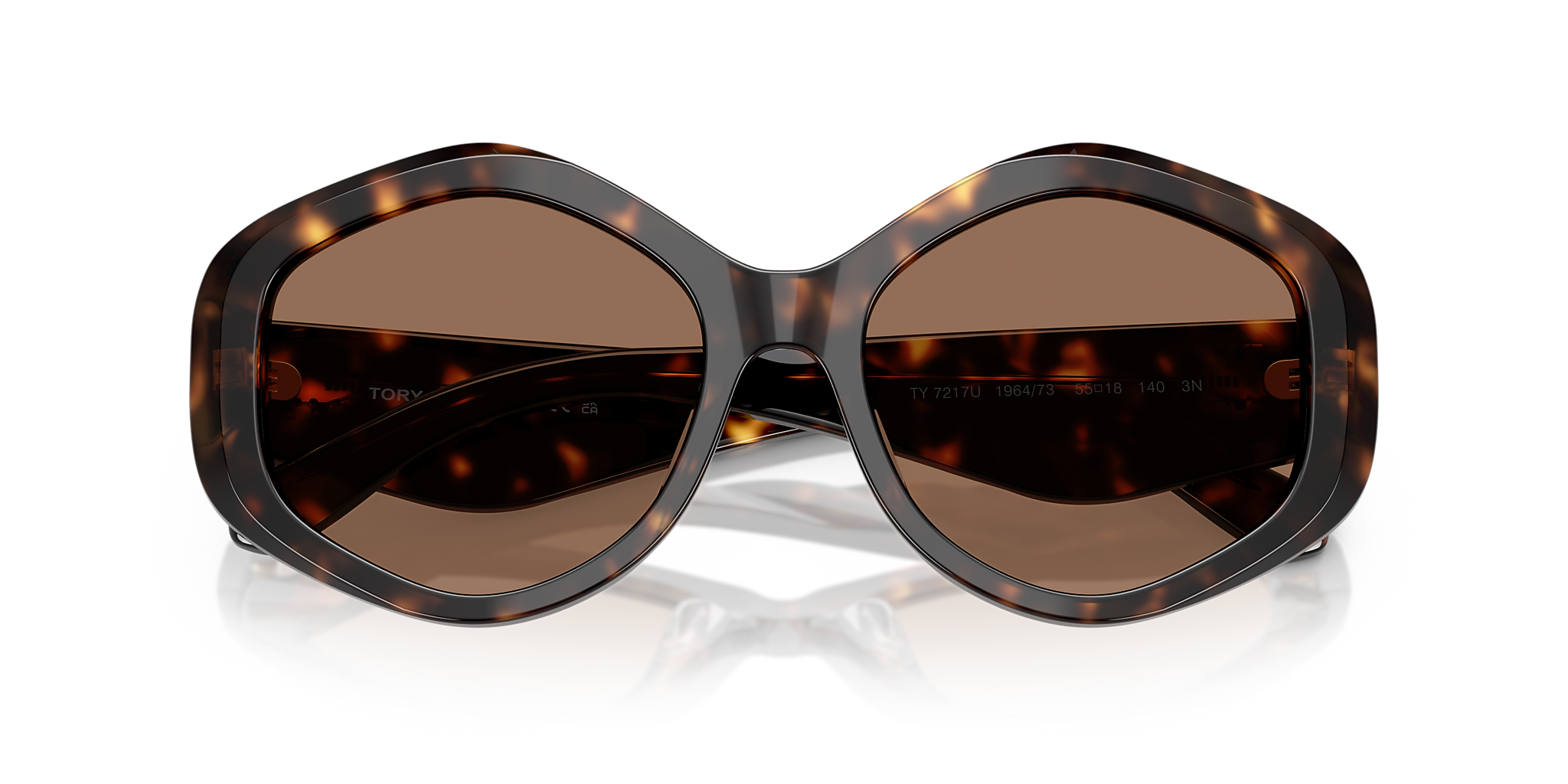 Dark Tortoise