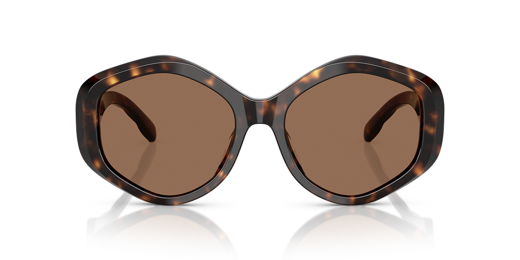 Dark Tortoise