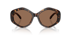 Dark Tortoise