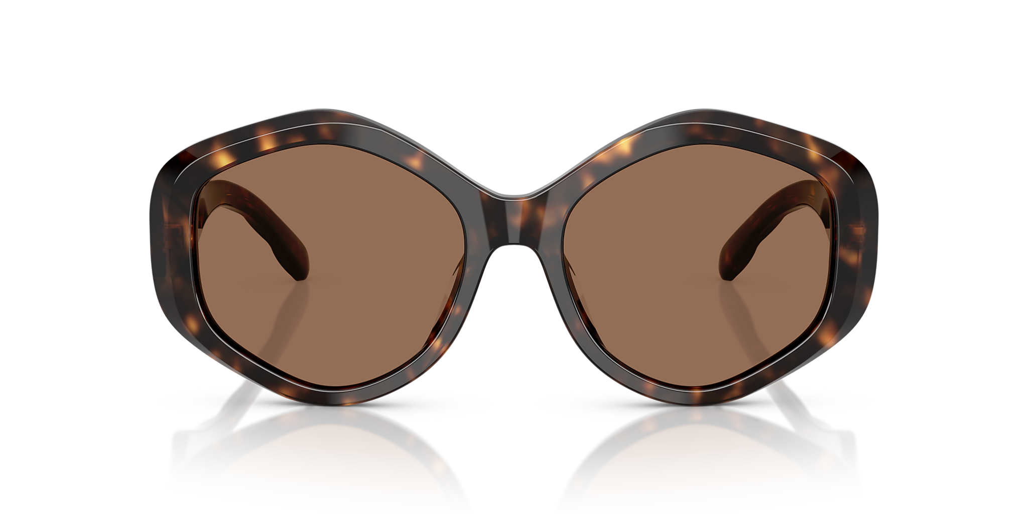 Dark Tortoise