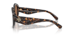 Dark Tortoise