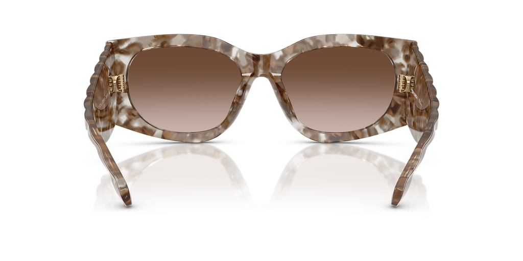Clear/Brown Tortoise