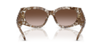 Clear/Brown Tortoise