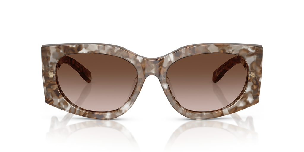 Clear/Brown Tortoise