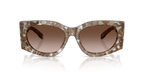 Clear/Brown Tortoise