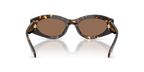 Brown Tortoise