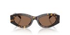 Brown Tortoise