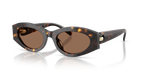 Brown Tortoise