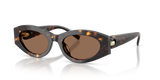Brown Tortoise  - Brown