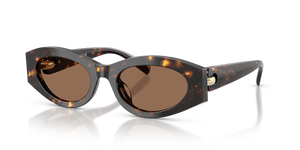 Brown Tortoise  - Brown