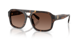Dark Tortoise  - Polar Light Brown Gradient