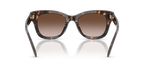 Dark Tortoise