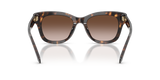 Dark Tortoise