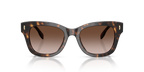Dark Tortoise