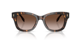 Dark Tortoise