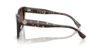Dark Tortoise