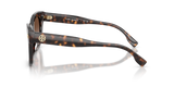 Dark Tortoise