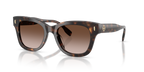 Dark Tortoise