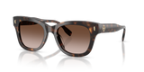 Dark Tortoise