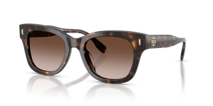 Dark Tortoise  - Brown Gradient