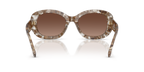 Transparent Brown Tortoise