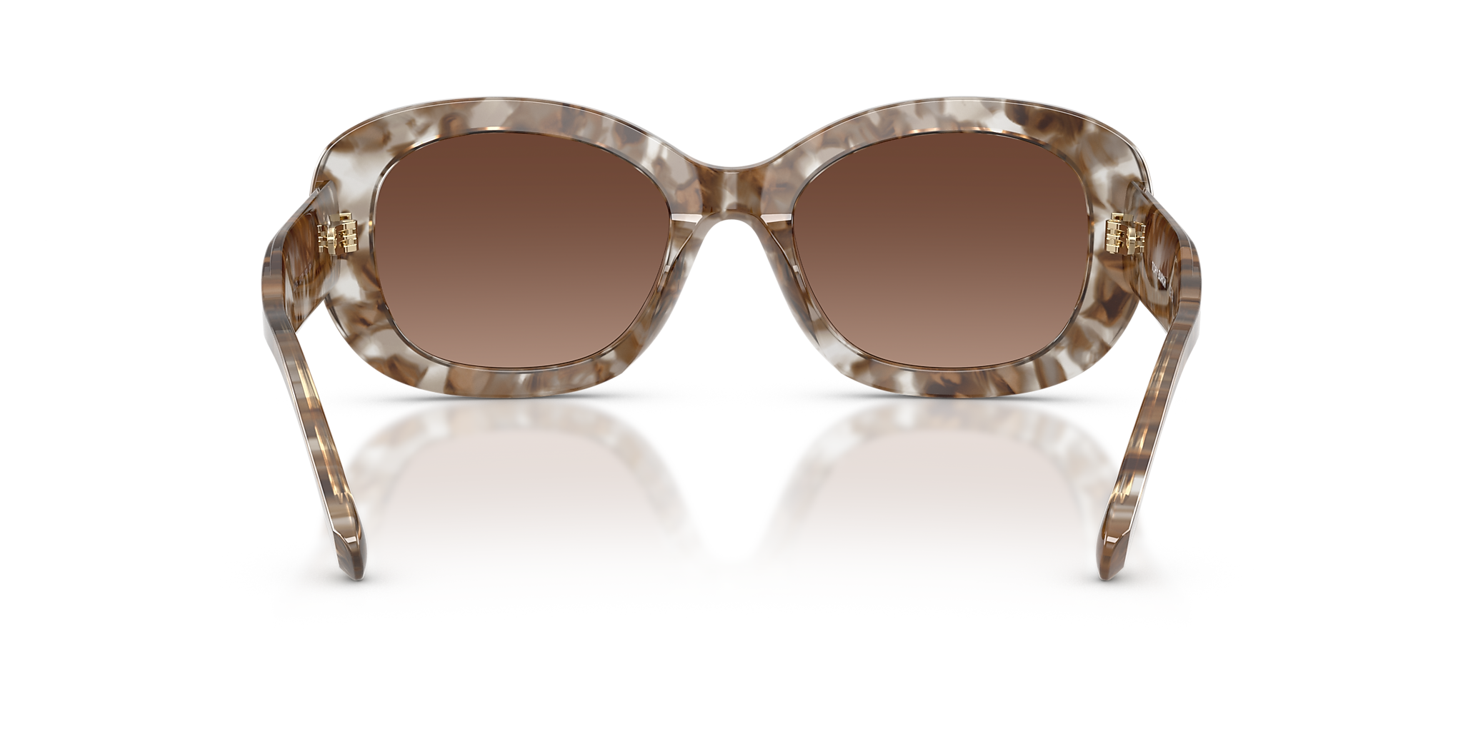 Transparent Brown Tortoise