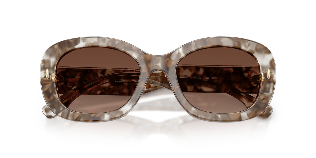 Transparent Brown Tortoise