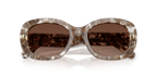 Transparent Brown Tortoise