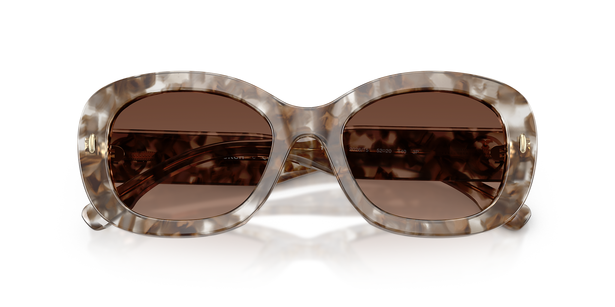 Transparent Brown Tortoise