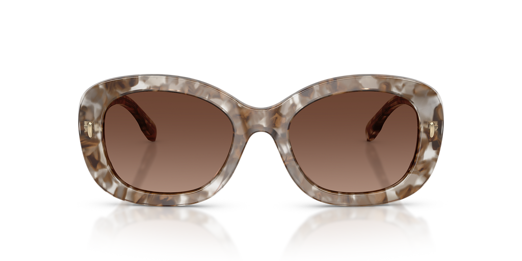 Transparent Brown Tortoise
