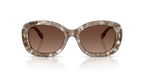 Transparent Brown Tortoise